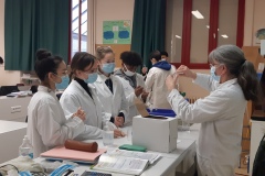 Spécialité Sciences physiques